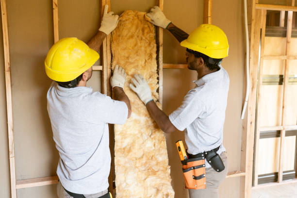 Best Commercial Insulation Services  in Wickenburg, AZ